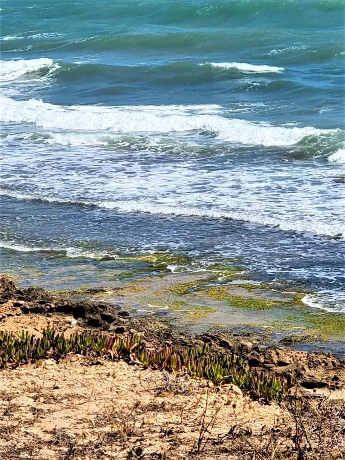 Cabo Cervera Primera Linea Apartamento De Lujo 托雷维耶哈 外观 照片