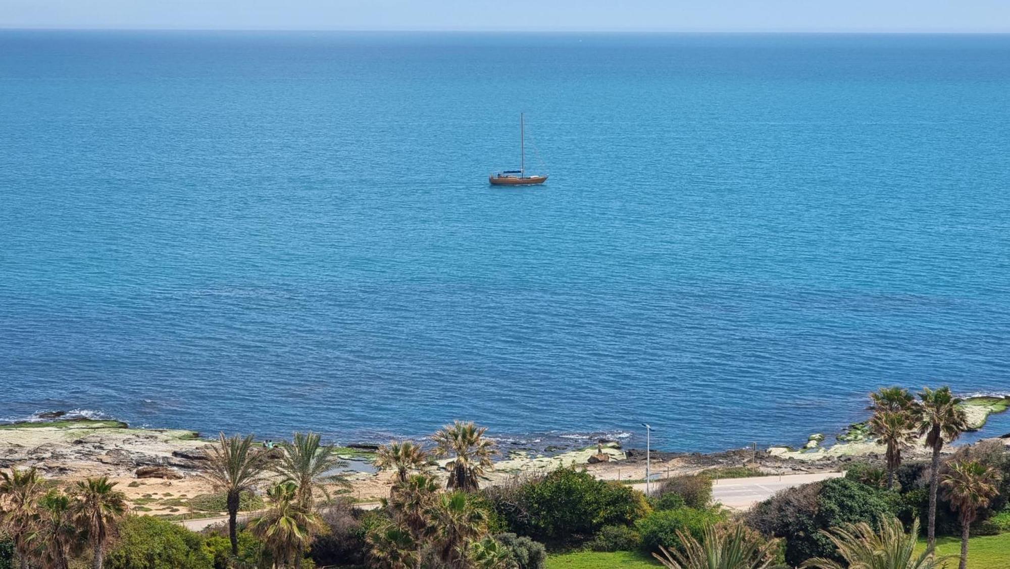 Cabo Cervera Primera Linea Apartamento De Lujo 托雷维耶哈 外观 照片